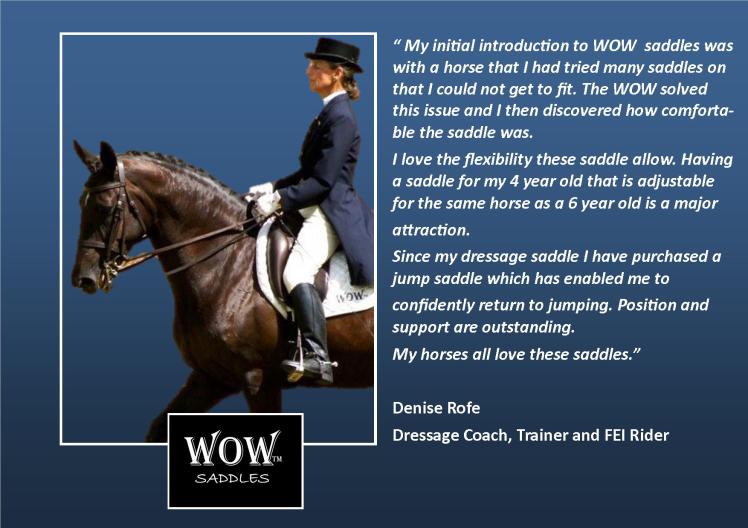 Wow Saddles Review 2